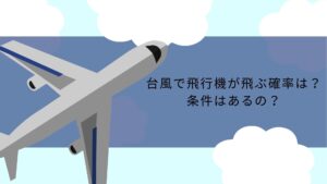台風で飛行機が飛ぶ確率は？条件はあるの？