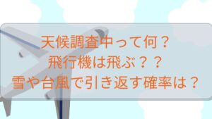 飛行機が天候調査の時の飛ぶ確率は？雪や台風で引き返した場合ホテル代は出る？