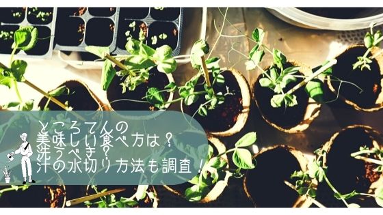 ところてんの美味しい食べ方は？洗うべき？汁の水切り方法も調査！