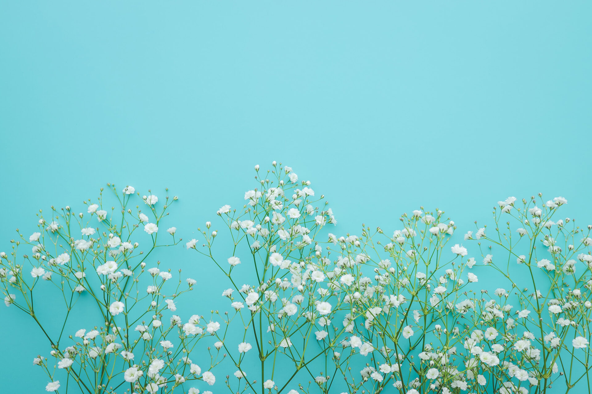 佐藤新（IMPACTors）の身長体重は？ 佐藤新（IMPACTors）の入所日は？ 佐藤新（IMPACTors）のあだ名は？ 佐藤新（IMPACTors）のプロフィール まとめ