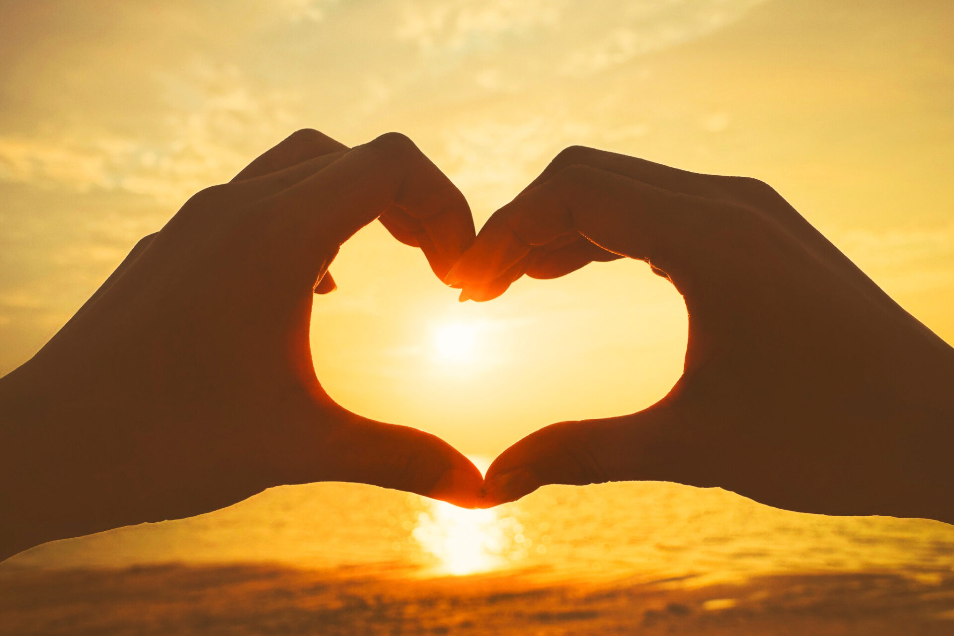  佐藤新（IMPACTors）の身長体重は？ 佐藤新（IMPACTors）の入所日は？ 佐藤新（IMPACTors）のあだ名は？ 佐藤新（IMPACTors）のプロフィール まとめ