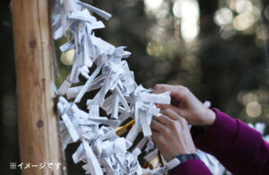 大宮氷川神社のおみくじは怖いほど当たる？不思議体験やご利益を調査！