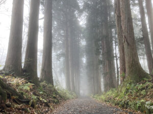 戸隠神社のパワースポットの効果がすごい!?不思議体験の声も調査してみた!