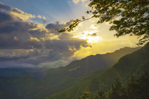 三峯神社の駐車場は無料？混雑時間や本殿までの距離もご紹介！